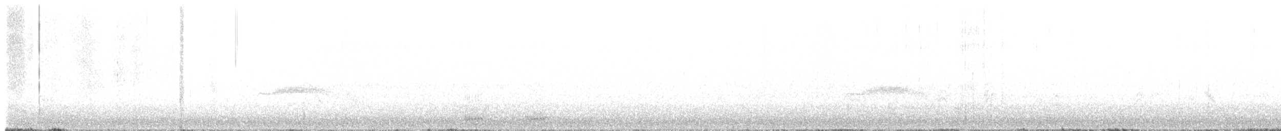 Western Wood-Pewee - ML647583313