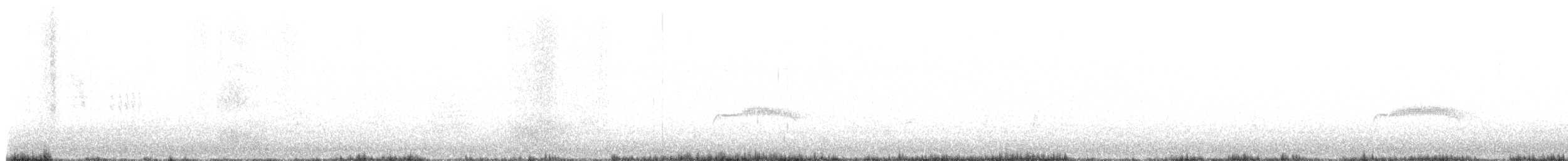 Western Wood-Pewee - ML647583339