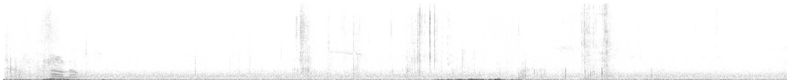 Western Wood-Pewee - ML647583417