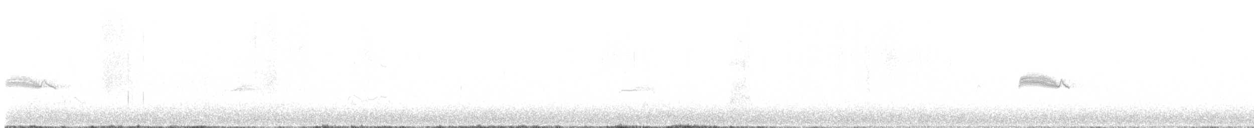 Western Wood-Pewee - ML647583493