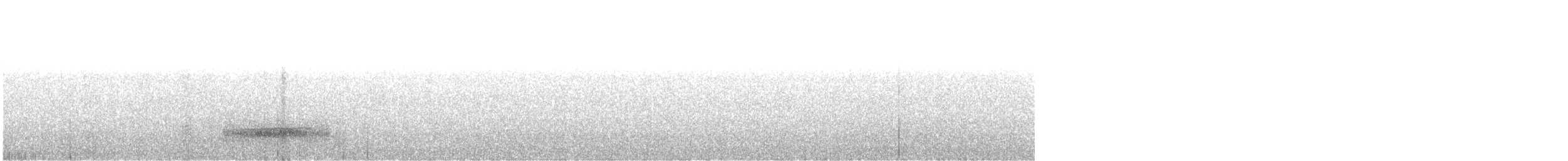 Küba Peçeli Baykuşu - ML647584059