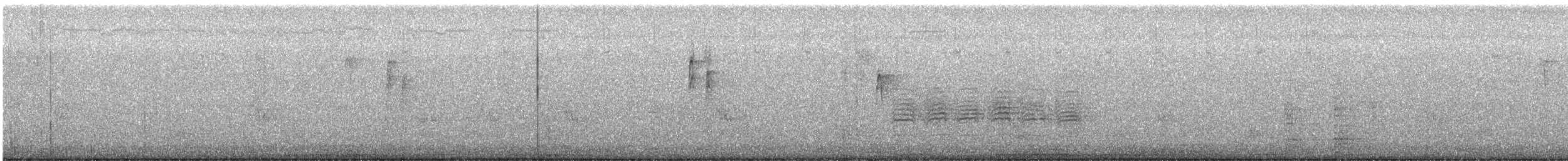 amerikameis - ML647584343