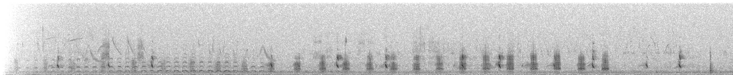 ウミアイサ - ML647584457