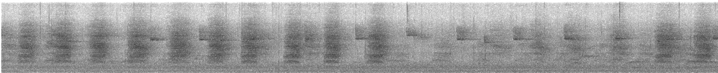 Steller Kargası [stelleri grubu] - ML647585276