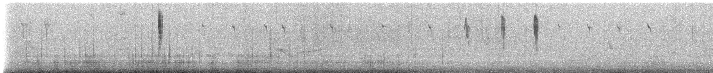 White-winged Fairywren (Blue-and-white) - ML647585368