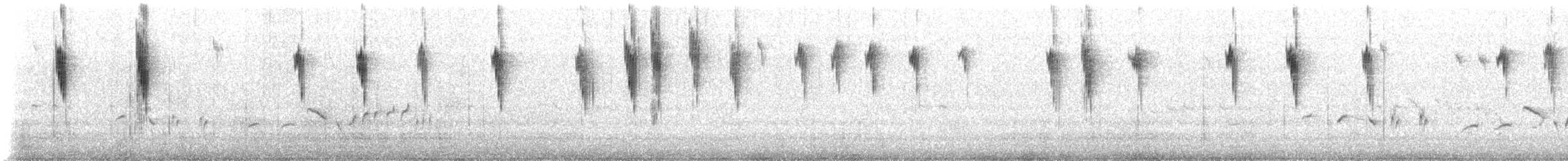 White-winged Fairywren (Blue-and-white) - ML647585385