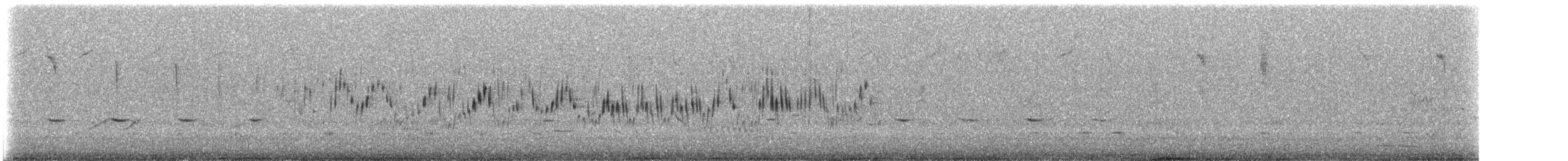 White-winged Fairywren (Blue-and-white) - ML647585397