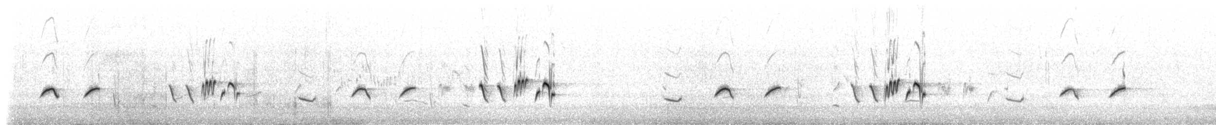 Kızılca Kır Akantizi - ML647585405