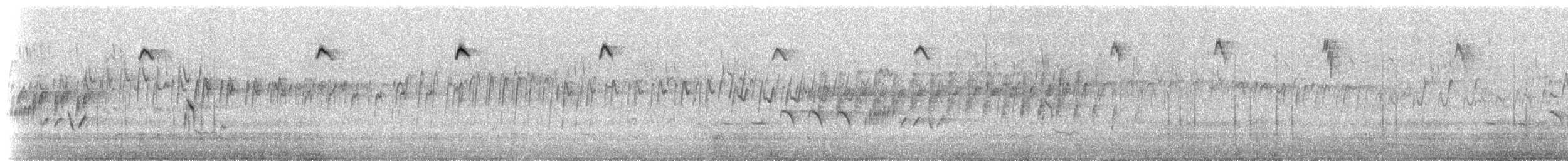 Ak Kanatlı Peribülbülü (leuconotus) - ML647585429