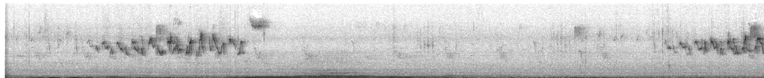 Yellow-rumped Warbler - ML647585472