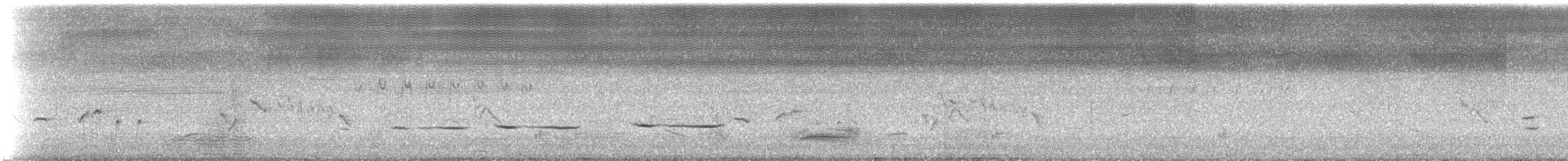 nullarborvakteltrost - ML647585489