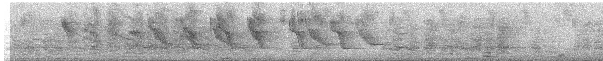 Scrub Blackbird - ML647586094