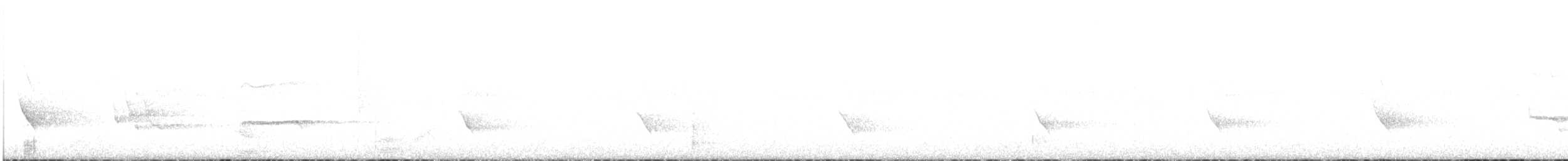 ミサゴ - ML647586874