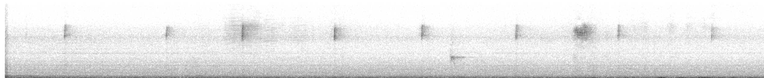 American Robin - ML647587343