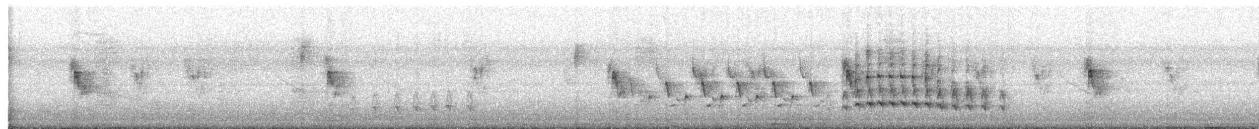 Göçmen Ardıç - ML647587344