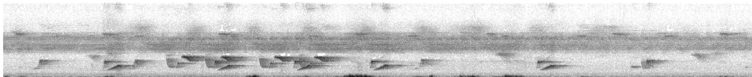 Uzun Gagalı Çıtkuşu - ML647588160