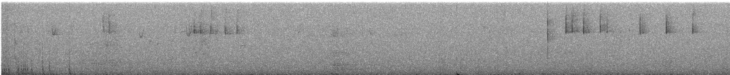 Junco Ojioscuro (de Oregón) - ML647588530