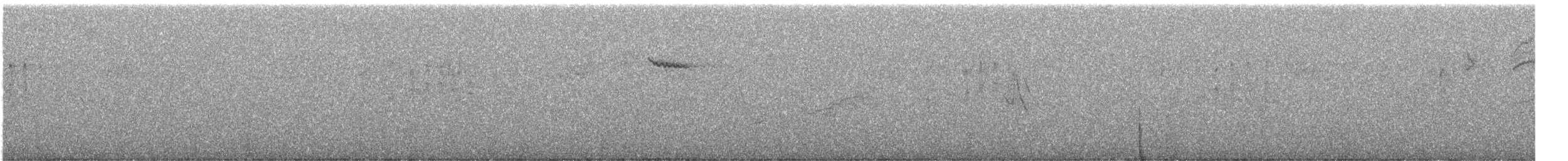 Agateador Americano - ML647588535