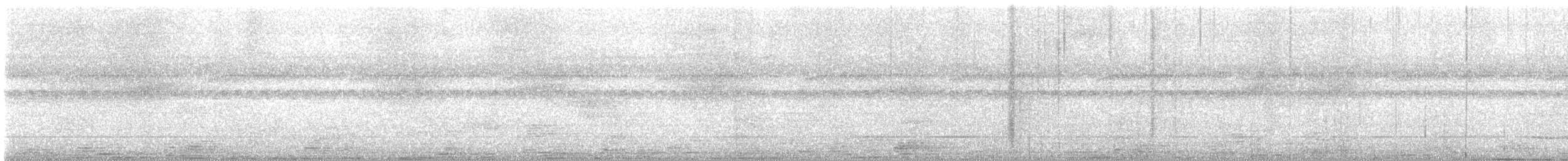 Küba Peçeli Baykuşu - ML647588600