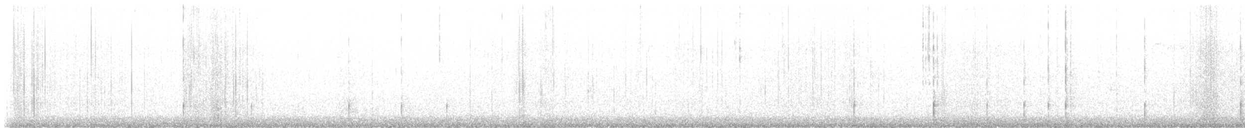 svartryggspett - ML647588656