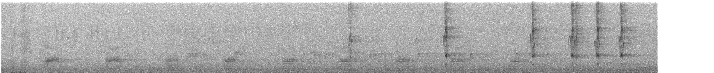 stokkand - ML647588874