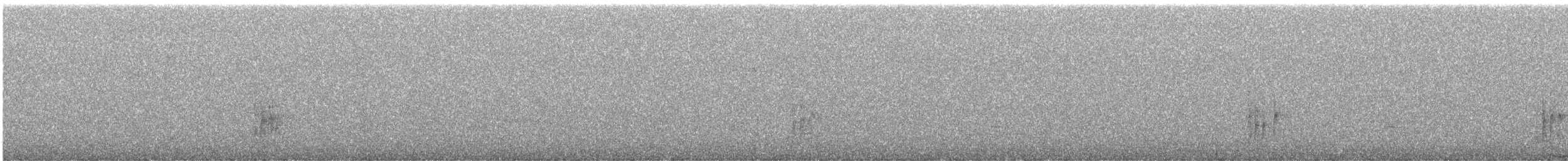 vestpiranga - ML647589259