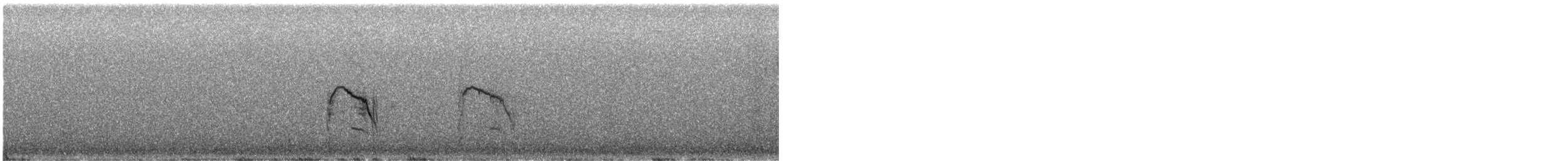 Busard des marais - ML647589510