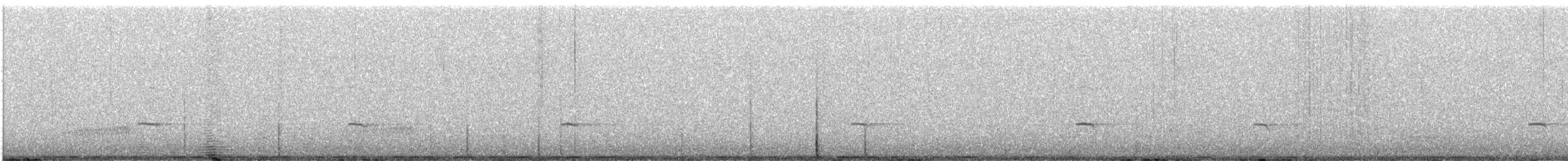 gråsolitærtrost - ML647589569