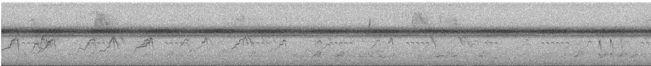 brasiland - ML647589704