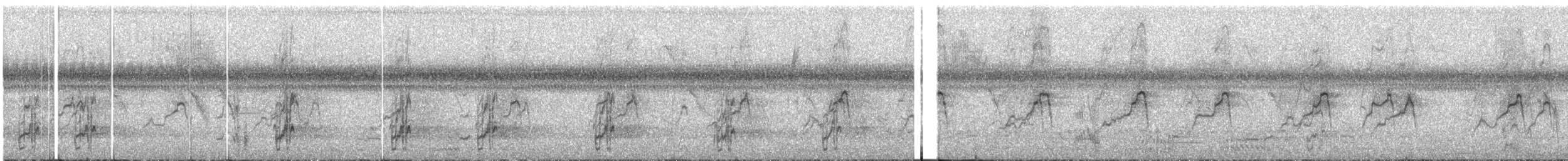 brasiland - ML647589705