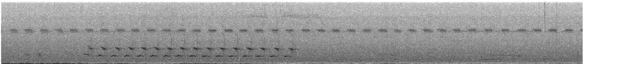 Selva Cacique - ML647590108