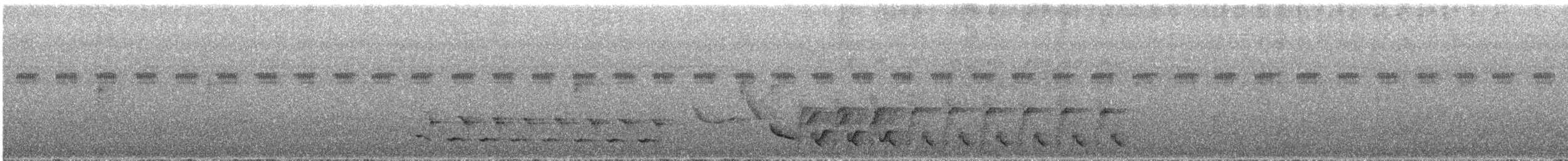 Selva Cacique - ML647590110