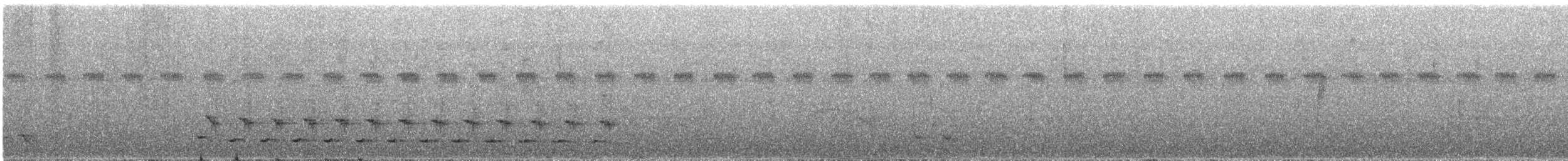 Selva Cacique - ML647590111