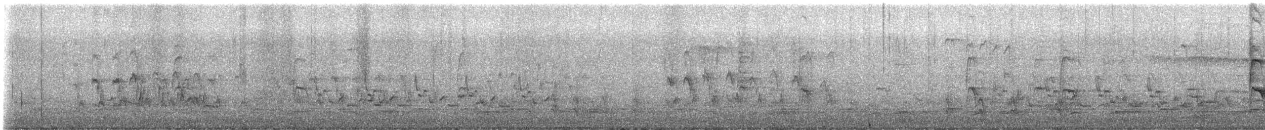 小加拿大雁 - ML647592931