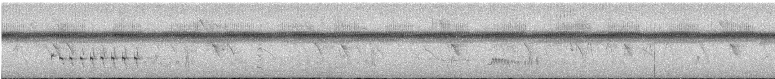 ハイムネコビトクイナ - ML647593491