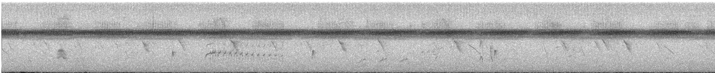 ハシグロオオヒタキモドキ - ML647593496