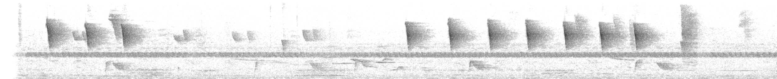 ホシノドヒメアリサザイ - ML647594010