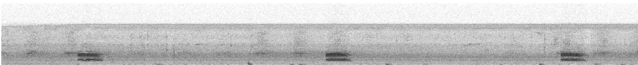 Broad-billed Motmot - ML647594027