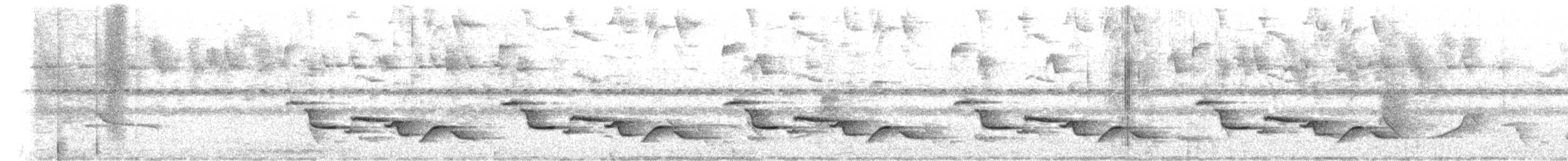 ススイロマユミソサザイ - ML647594067