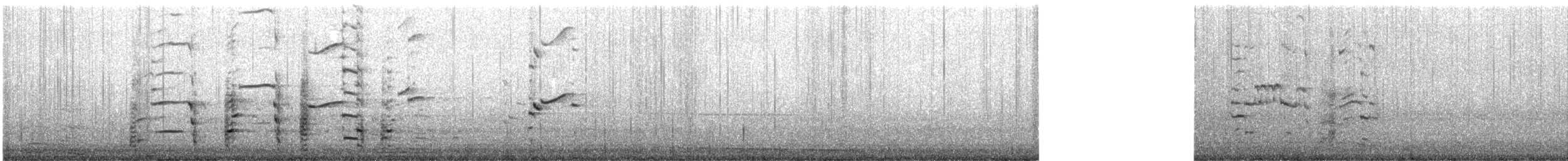 クロワカモメ - ML647594075