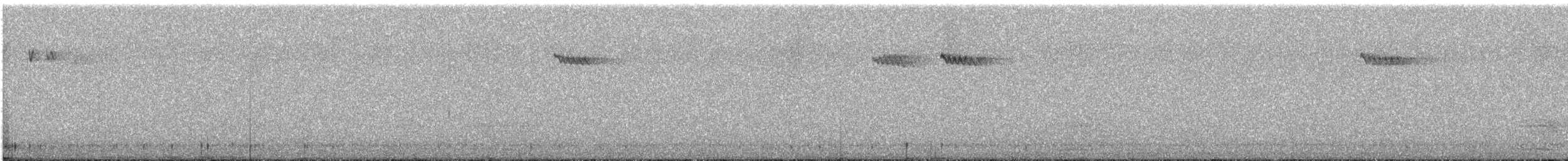 Aves sp. - ML647594190