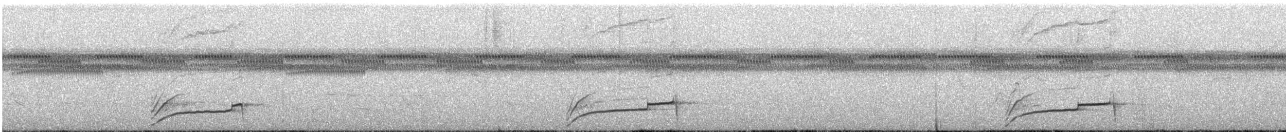 Smooth-billed Ani - ML647594495