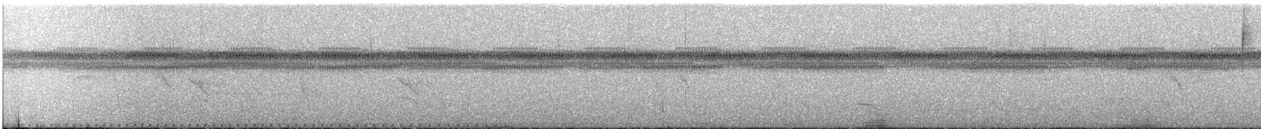 Paint-billed Crake - ML647594524