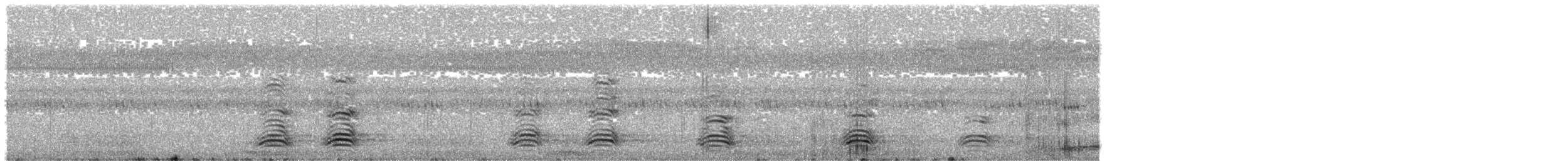 vrána australská - ML647595555