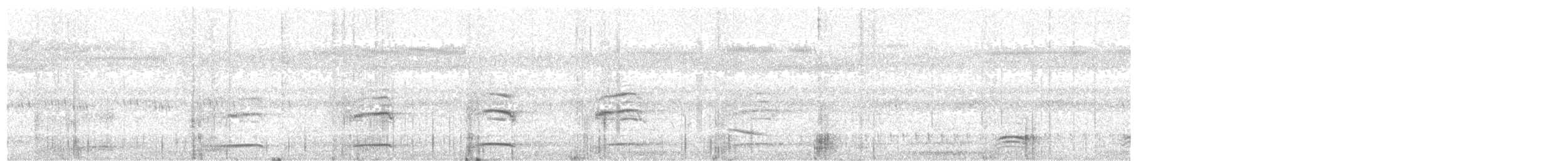 kukačka obrovská - ML647595562