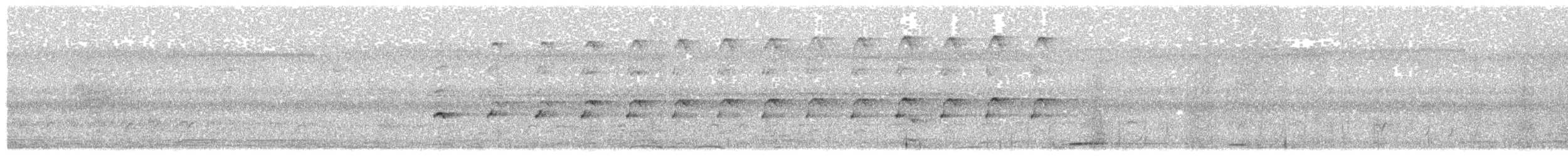 Gray Goshawk - ML647595567