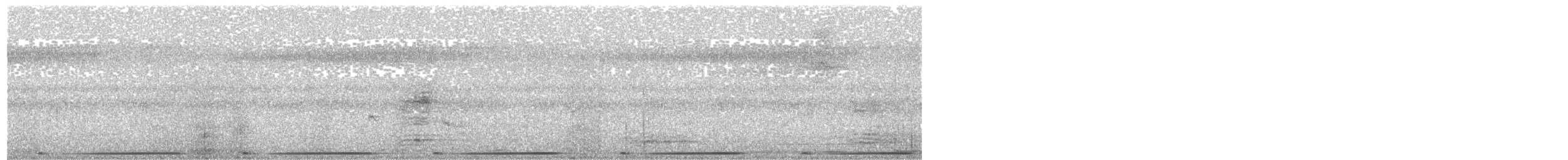 Pacific Emerald Dove - ML647595586