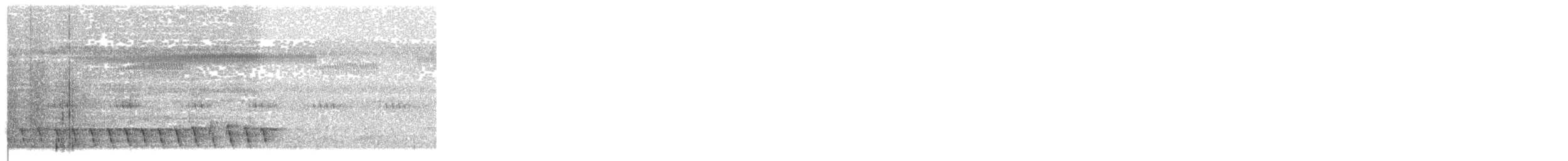 Lewin's Honeyeater - ML647595597