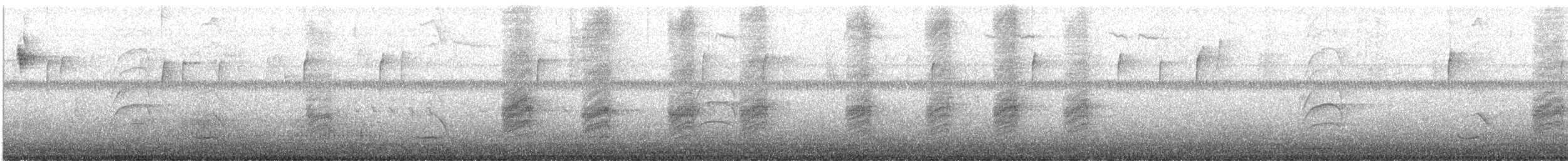 Audubon's Oriole - ML647596060