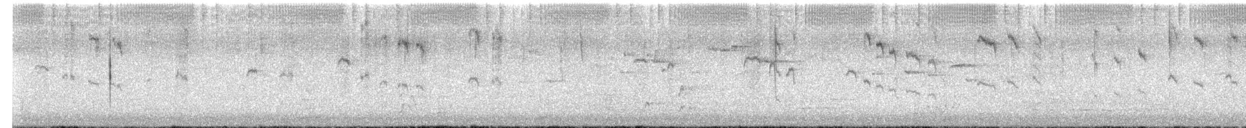 Superb Fairywren - ML647596313